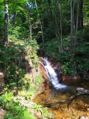 Clicca sull'immagine per ingrandirla. 

Nome:   cavallizza2.jpg 
Visite: 1 
Dimensione: 34.6 KB 
ID: 909281