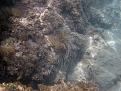 Clicca sull'immagine per ingrandirla.&nbsp;

Nome:   anzio-sub1.jpg&nbsp;
Visite: 1&nbsp;
Dimensione: 143.4 KB&nbsp;
ID: 610622