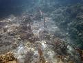 Clicca sull'immagine per ingrandirla.&nbsp;

Nome:   anzio-sub2.jpg&nbsp;
Visite: 1&nbsp;
Dimensione: 129.9 KB&nbsp;
ID: 610623