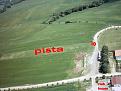 Clicca sull'immagine per ingrandirla.&nbsp;

Nome:   ali_campestri.jpg&nbsp;
Visite: 1&nbsp;
Dimensione: 85.0 KB&nbsp;
ID: 634883