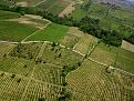 Clicca sull'immagine per ingrandirla.&nbsp;

Nome:   vigneti.jpg&nbsp;
Visite: 1&nbsp;
Dimensione: 769.8 KB&nbsp;
ID: 634885