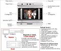 Clicca sull'immagine per ingrandirla. 

Nome:   mp4-2.jpg 
Visite: 1 
Dimensione: 121.2 KB 
ID: 635517